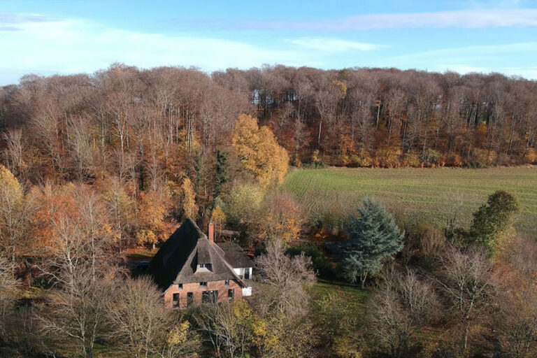 Mitten in der Natur